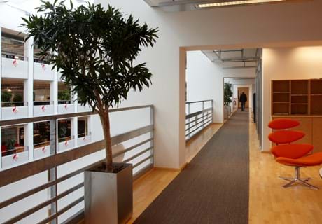 københavns energi. sisal tæppe løber